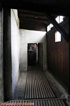 IMG_ (10823)